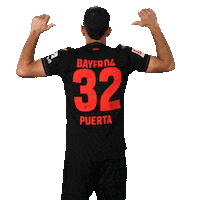 Bayer 04 Football Sticker by Bayer 04 Leverkusen