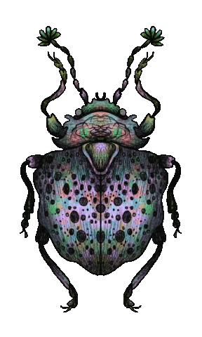 Color Bug Sticker by anja sturm
