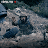 Season 8 Showtime GIF by Homeland