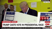GIF by Mashable