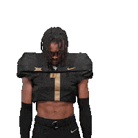 Ncaa Football Sticker by UCF Knights