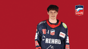 Hockey Listen GIF by Selber Wölfe