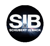 Driver Bmw Sticker by Schubert Motorsport