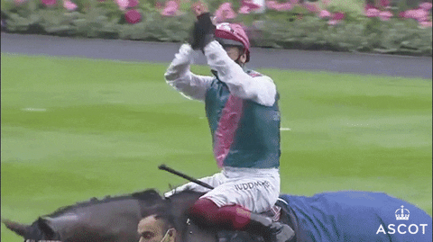 Horse Racing Love GIF by Ascot Racecourse