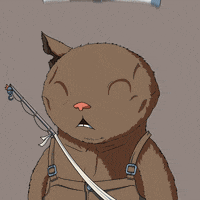 Cat GIF by Kitaro World