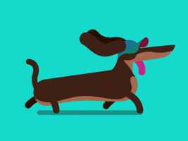dog gif GIF