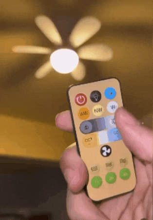 Priscilafigueiredo123 giphygifmaker GIF