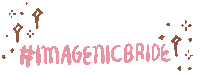 Wedding Photography Sticker by Imagenic