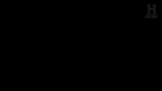 history channel survival GIF by HISTORY UK