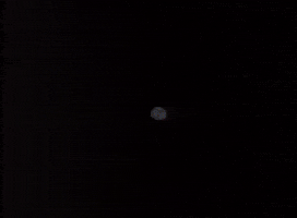 echo party GIF