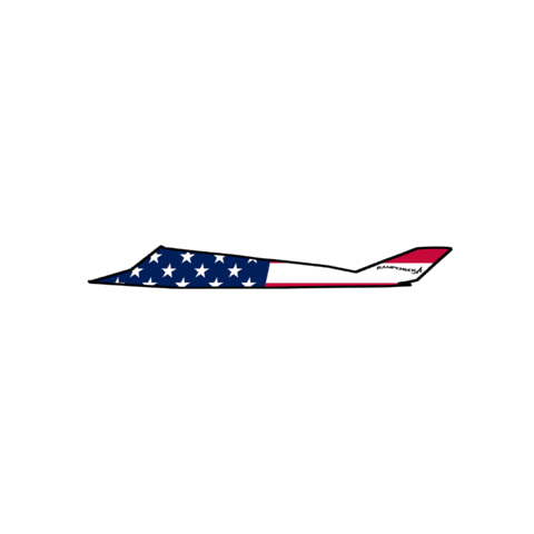 Air Force Stealth Sticker by RampCheckGlobal