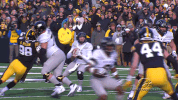 hawks GIF by University of Iowa Hawkeyes Athletics