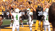 Iowa Hawkeyes Football GIF by University of Iowa Hawkeyes Athletics