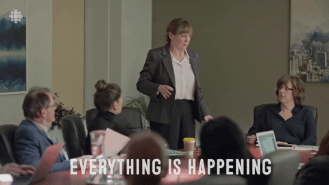 Baroness Von Sketch Show Cbc GIF