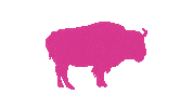 Production Company Film Sticker by Pink Buffalo Films