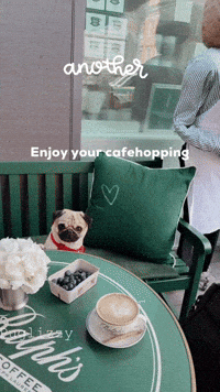 Pug Cute Dog GIF