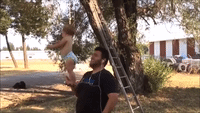 Daddy-Daughter Duo Show Incredible Balancing Skills