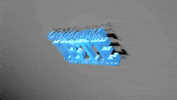 ibte brunei ibte ibtefamily oneibte GIF