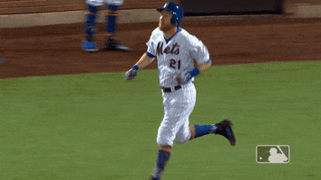 Ny Mets Sport GIF by New York Mets
