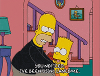 homer simpson GIF