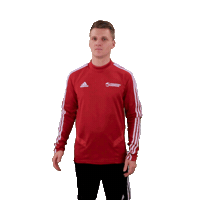 Victory Signature Sticker by Team Danmark