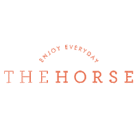 Christmas Sticker by The Horse