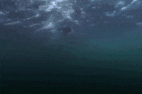 Lets Go Yes GIF by Shark Week