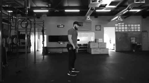 setforset giphygifmaker GIF
