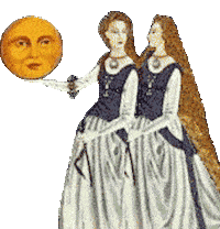 gemini STICKER