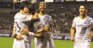 alan gordon love GIF by LA Galaxy