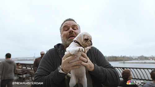 Season 5 Nbc GIF by New Amsterdam