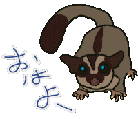 Sugar Glider おはよう Sticker