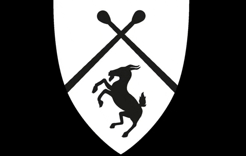 TamburiMedioevali giphyupload arms shield medieval GIF