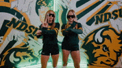 Volleyball Bison GIF by NDSU Athletics