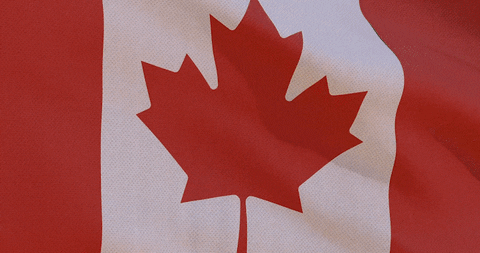 Sport Mascot GIF by Canadian Paralympics