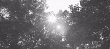 Music Video Guitar GIF by King Hannah