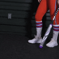 Clemsonsoftball GIF by Clemson Tigers