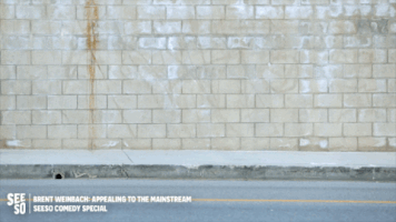 walking lol GIF