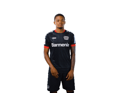 Bayer 04 Thank You Sticker by Bayer 04 Leverkusen