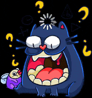 Dwarf-Factory cat confused cats idk GIF