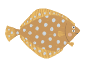 Fisch Sticker by Jupitermond Verlag