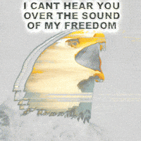 schizobox america united states freedom the usa GIF