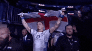 Mixed Martial Arts Sport GIF by UFC