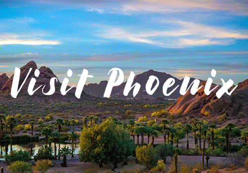 Desert Cactus GIF by Visit Phoenix