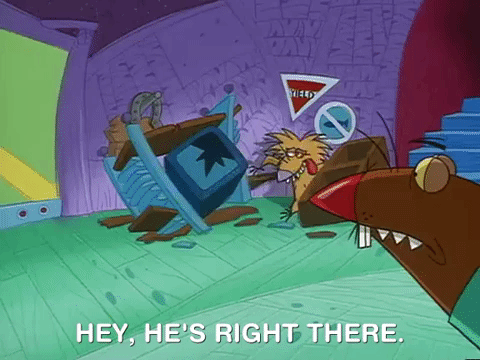 nickrewind giphydvr nicksplat angry beavers giphyab031 GIF