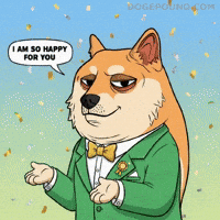 Shiba Inu Shrug GIF by Doge Pound