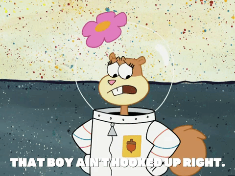 season 5 GIF by SpongeBob SquarePants
