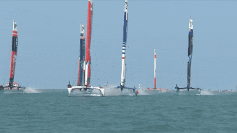 Racing GIF by SailGP