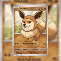 Shiba Inu Dog GIF by Doge Pound