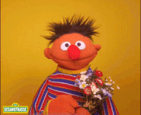 GIF by NDR